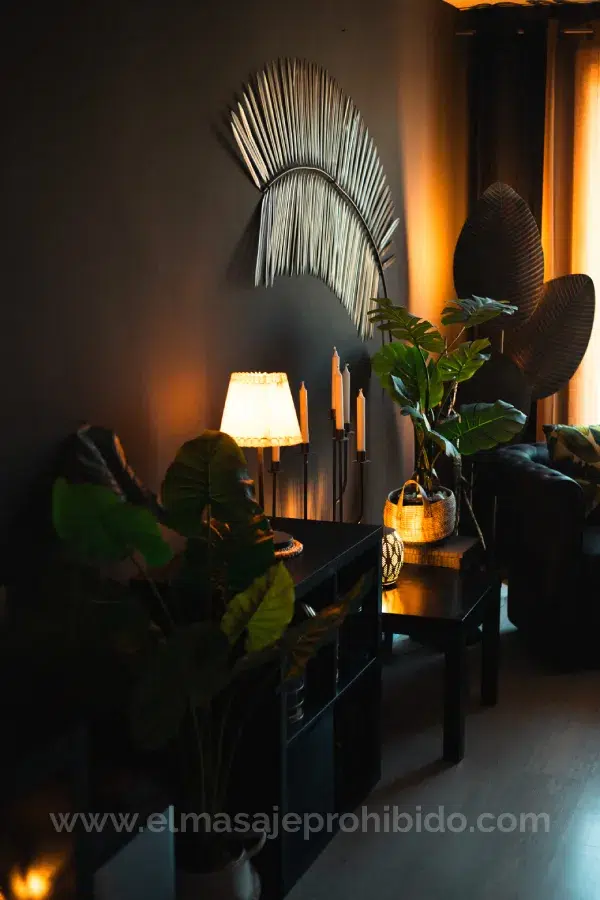 Decoracion ambiente estudio de masaje sensual en Barcelona